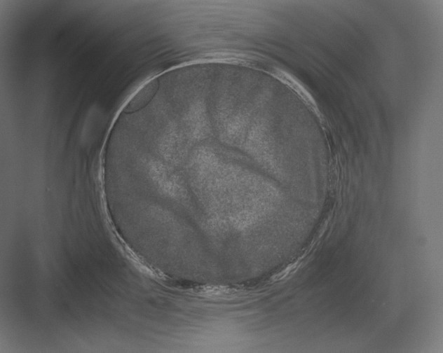 X0000082700907200702161746