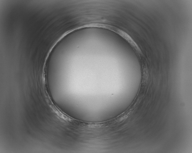 X0000082700908200702161746