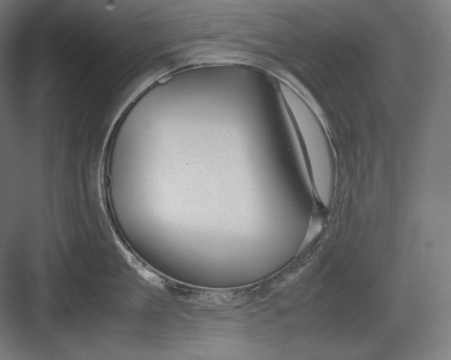 X0000082700909200702161746