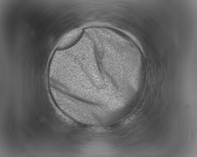 X0000082700911200702161746