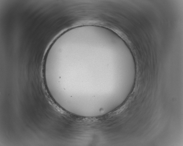 X0000082700912200702161746