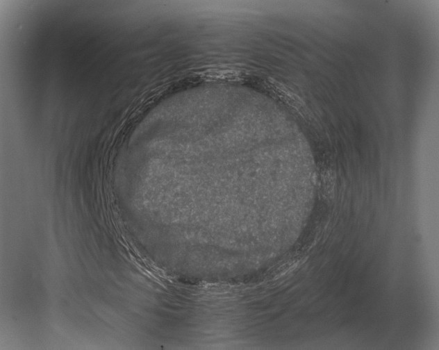 X0000082700913200702161746