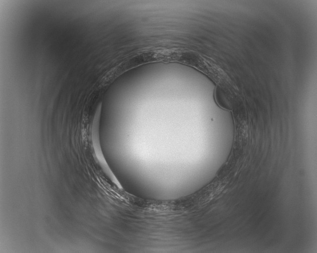 X0000082700914200702161746