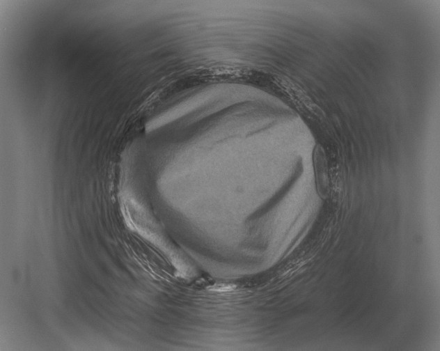 X0000082700916200702161746