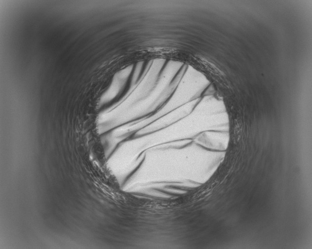 X0000082700917200702161746