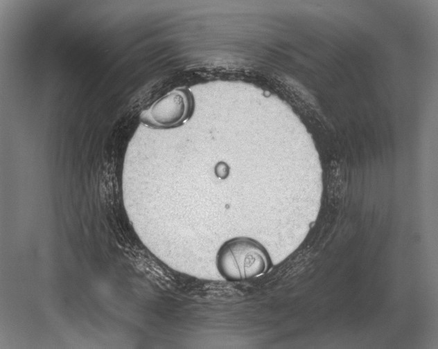 X0000082700918200702161746