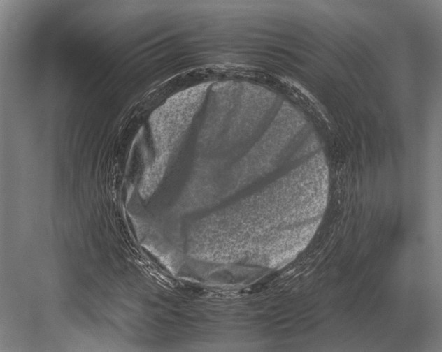 X0000082700919200702161746