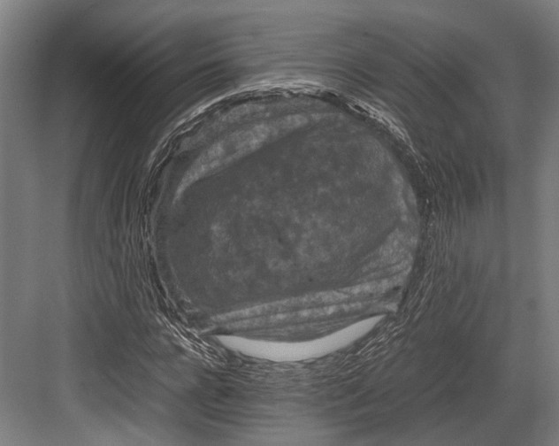 X0000082700920200702161746