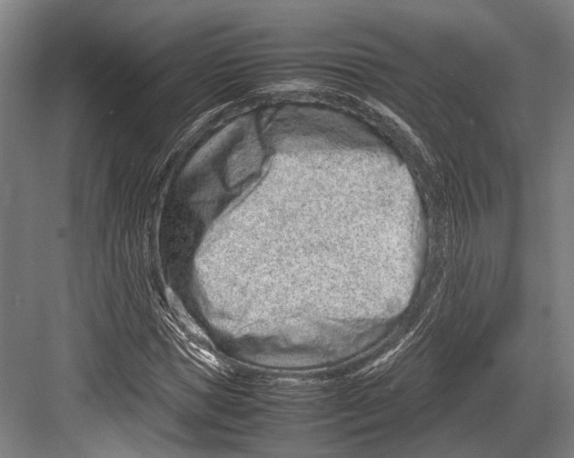 X0000082700921200702161746