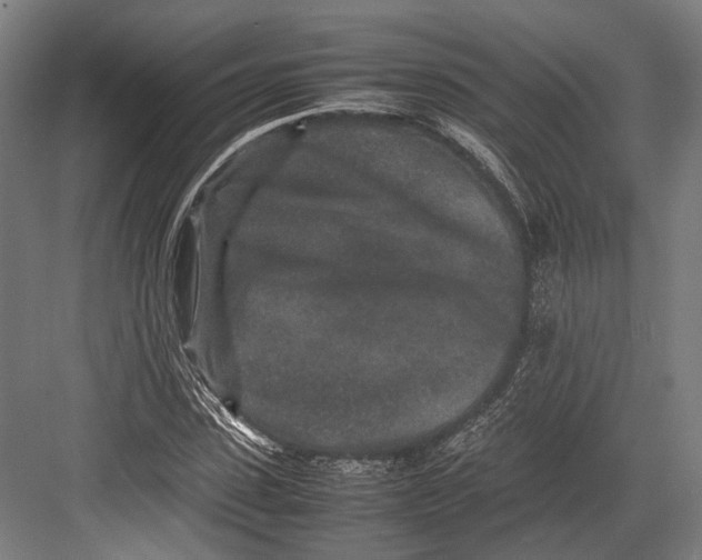 X0000082700923200702161746