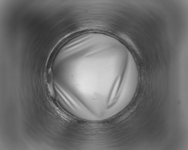 X0000082700924200702161746