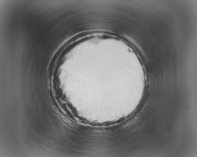 X0000082700925200702161746