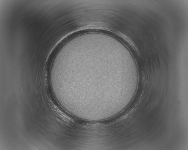 X0000082700926200702161746