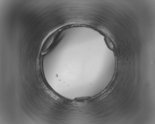 X0000082700928200702161746