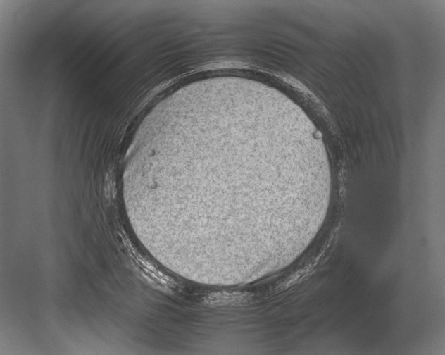 X0000082700929200702161746