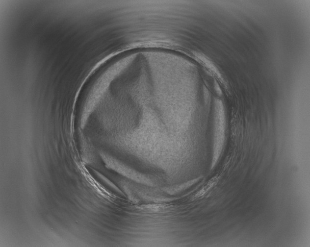 X0000082700932200702161746