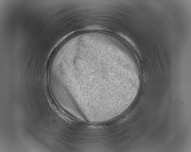 X0000082700933200702161746