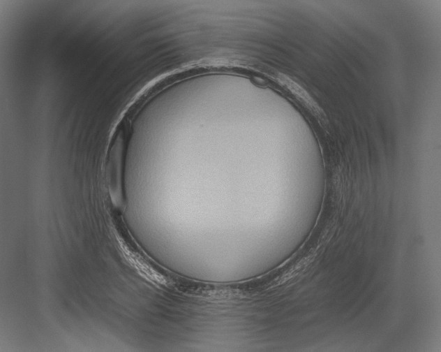 X0000082700934200702161746