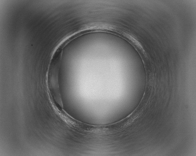 X0000082700936200702161746