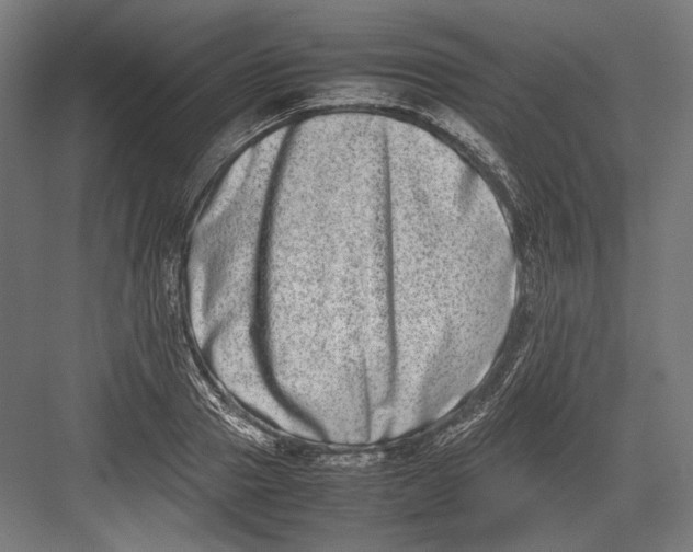 X0000082700937200702161746