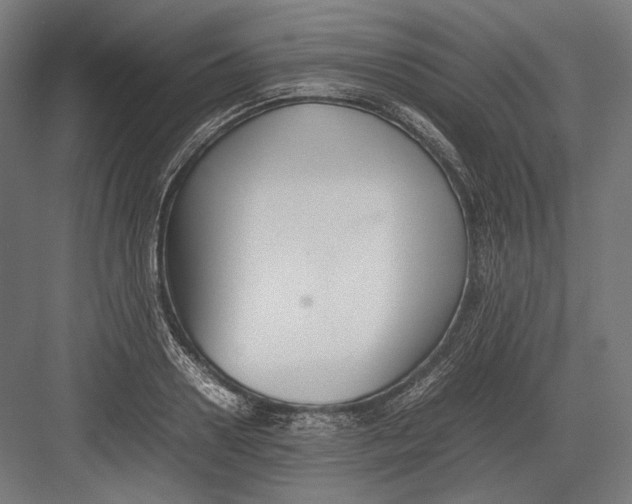 X0000082700938200702161746