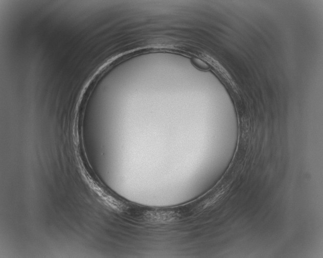 X0000082700939200702161746