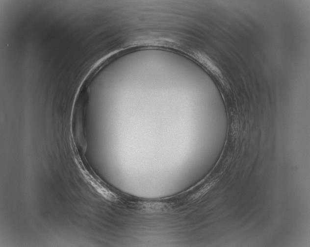 X0000082700940200702161746