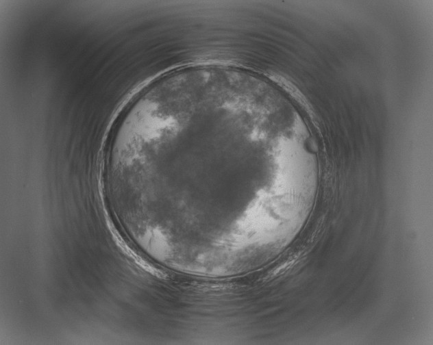 X0000082700941200702161746