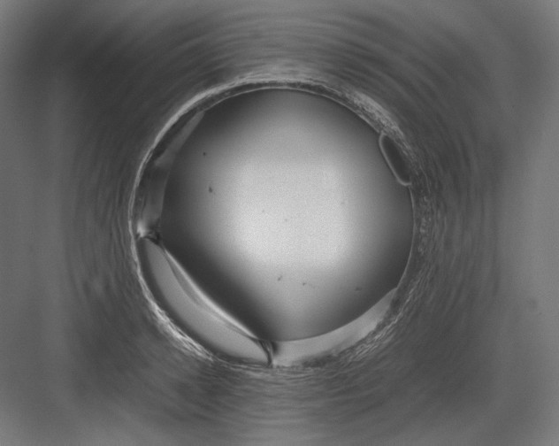 X0000082700942200702161746