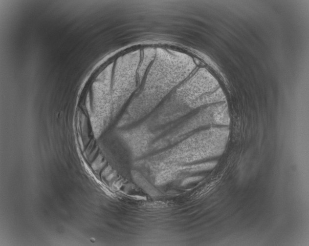 X0000082700943200702161746