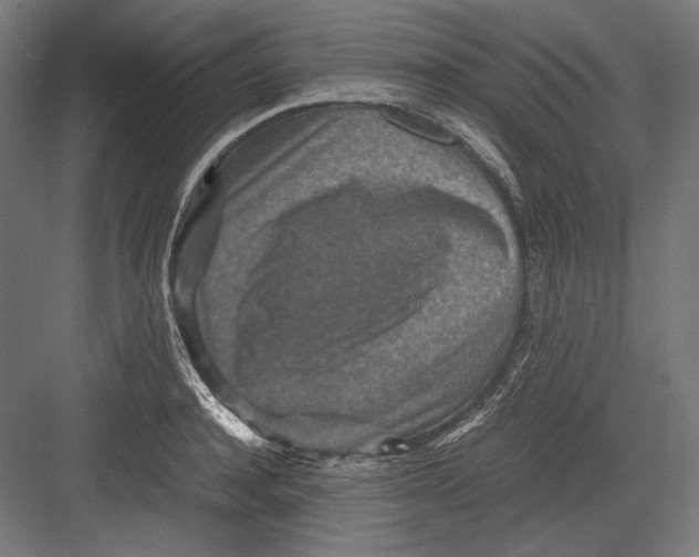 X0000082700944200702161746