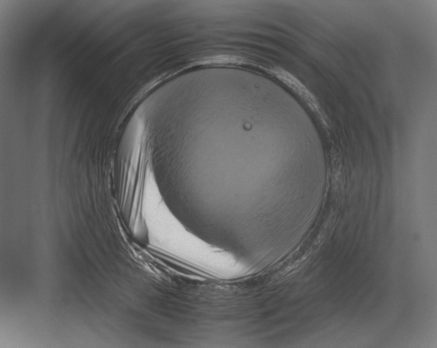 X0000082700945200702161746