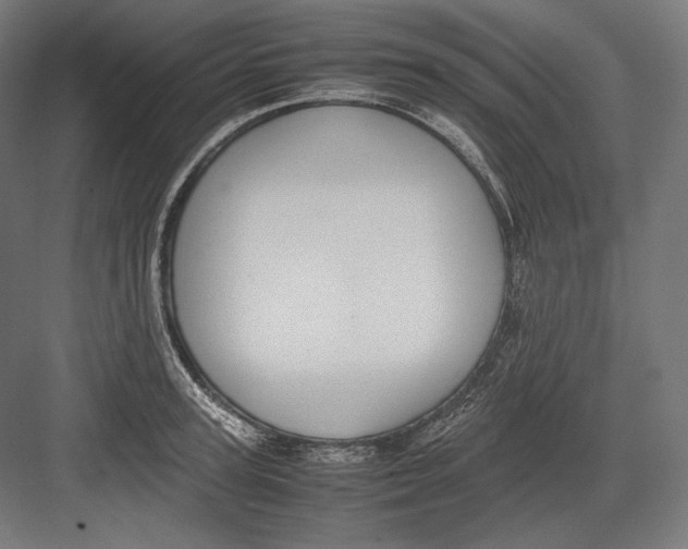 X0000082700947200702161746