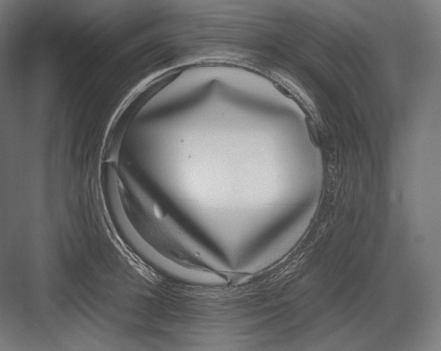 X0000082700948200702161746