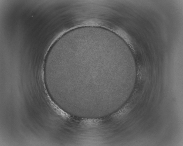 X0000082700950200702161746