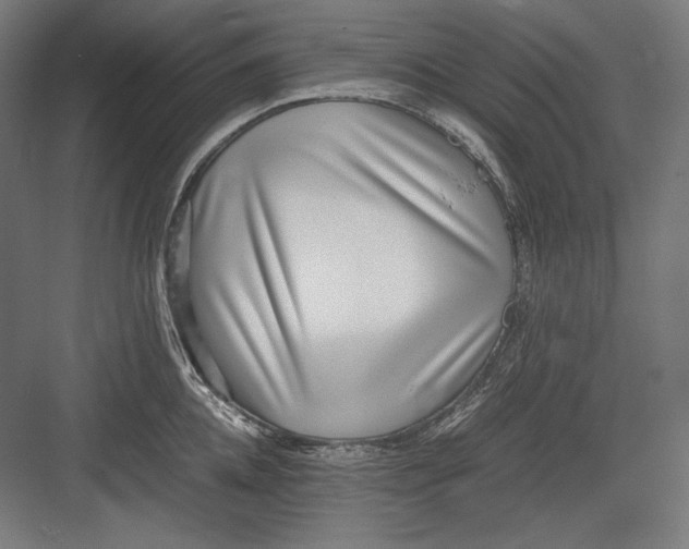 X0000082700952200702161746