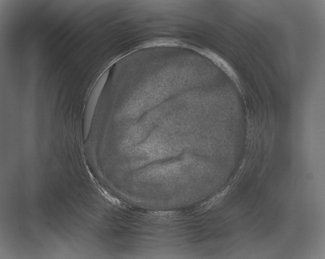 X0000082700953200702161746