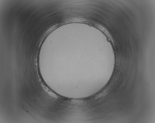 X0000082700954200702161746