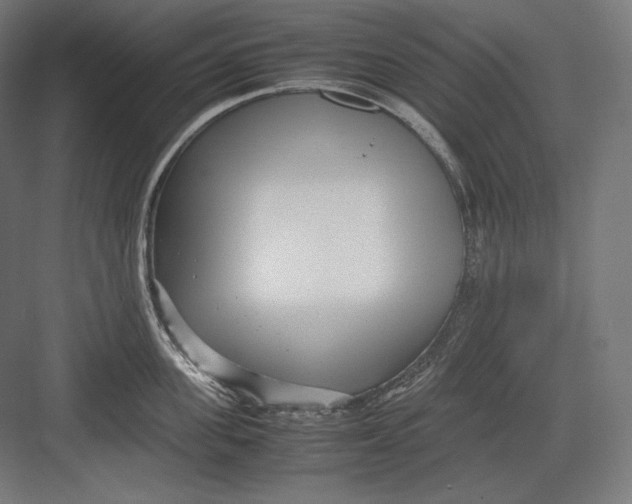 X0000082700955200702161746