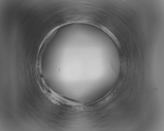 X0000082700956200702161746