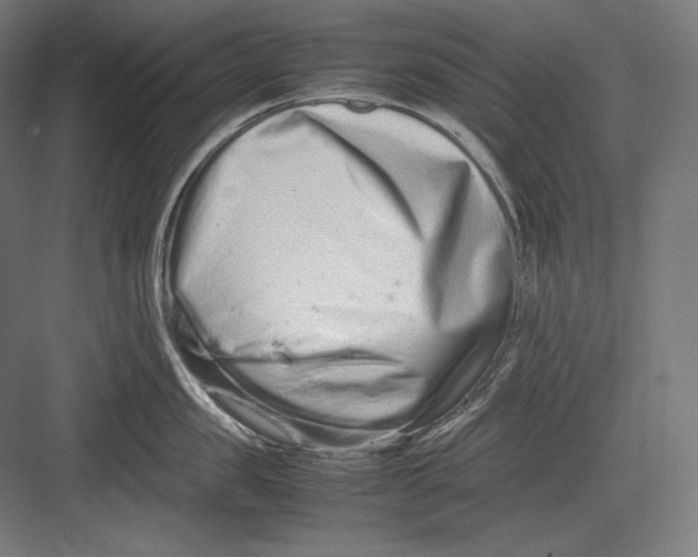 X0000082700957200702161746