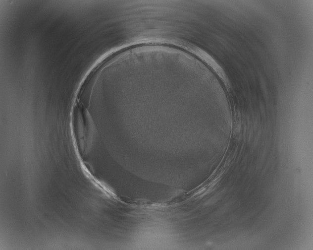 X0000082700958200702161746