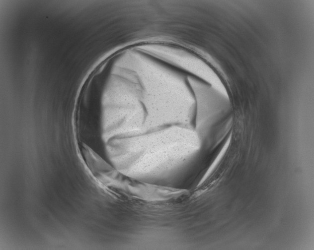 X0000082700959200702161746