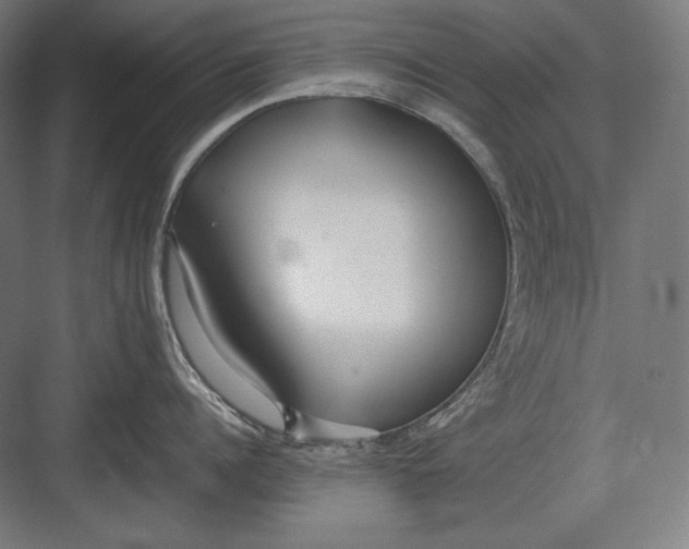 X0000082700960200702161746