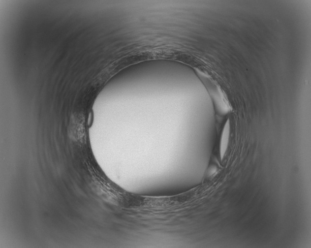 X0000082700963200702161746