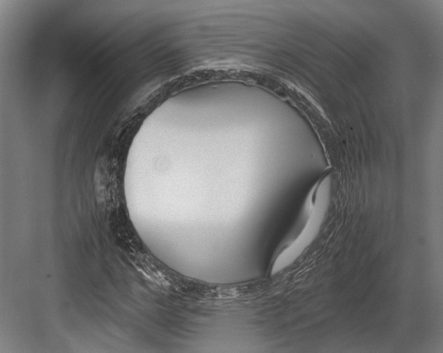 X0000082700968200702161745