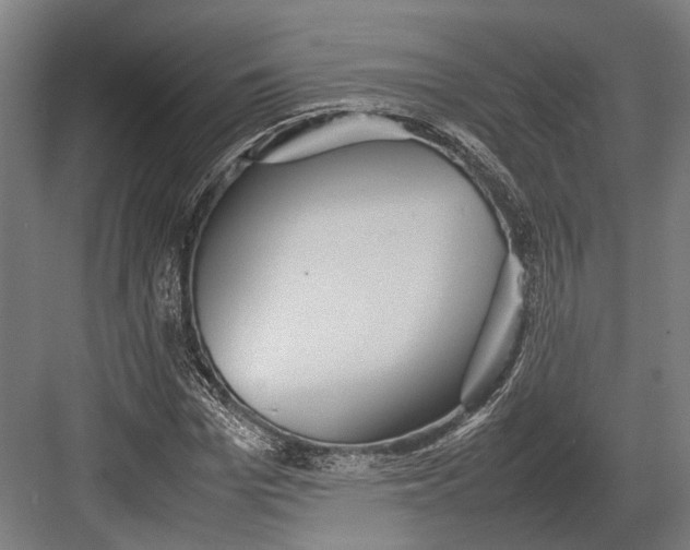 X0000082700969200702161745