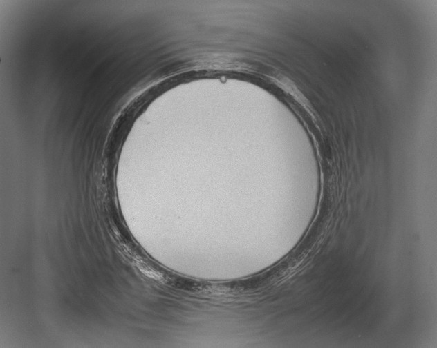 X0000082700971200702161745