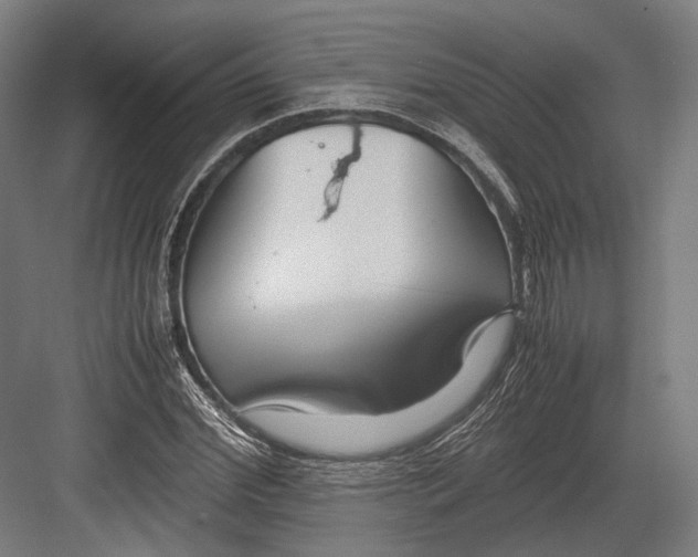 X0000082700972200702161745