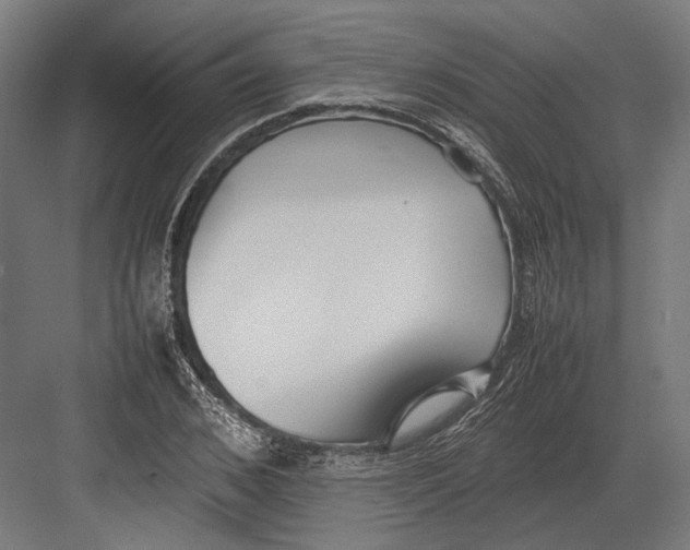 X0000082700976200702161745